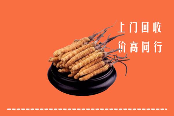 高价求购：台安县回收散虫草
