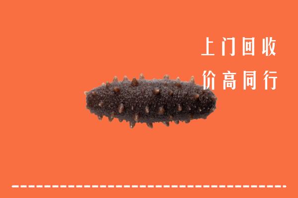 高价求购：台安县回收海参
