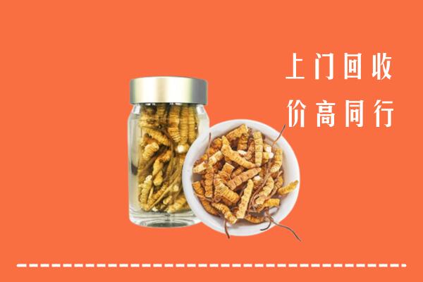 台安县回收冬虫夏草
