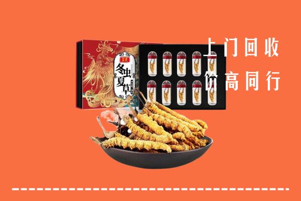 台安县回收虫草